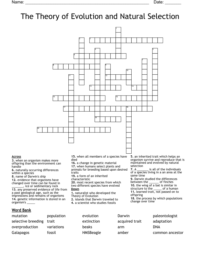 The Theory of Evolution and Natural Selection Crossword