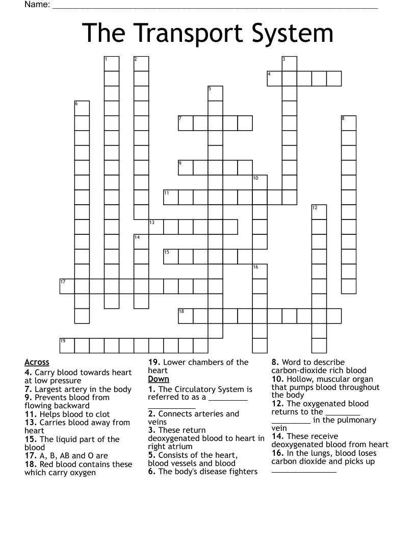 The Transport System Crossword