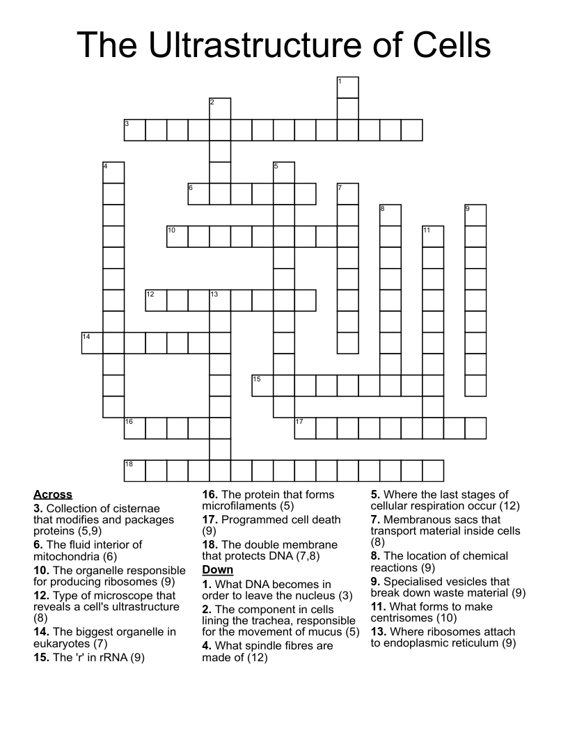 The Ultrastructure of Cells Crossword