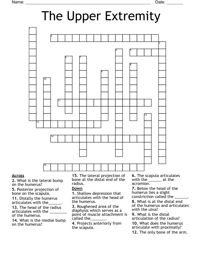 The Upper Extremity Crossword