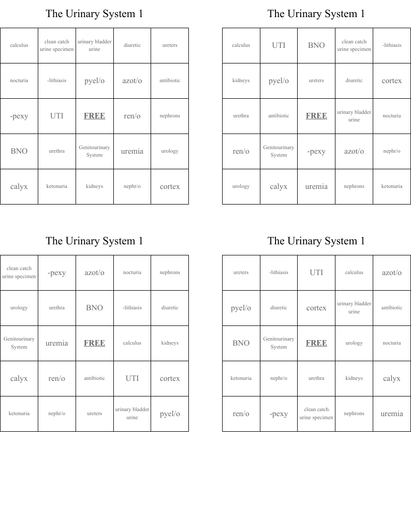 The Urinary System 1 Bingo Cards