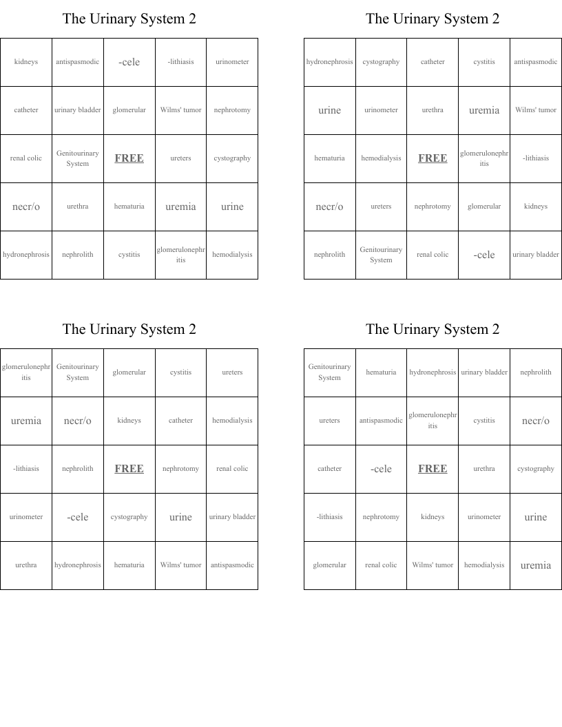 The Urinary System 2 Bingo Cards