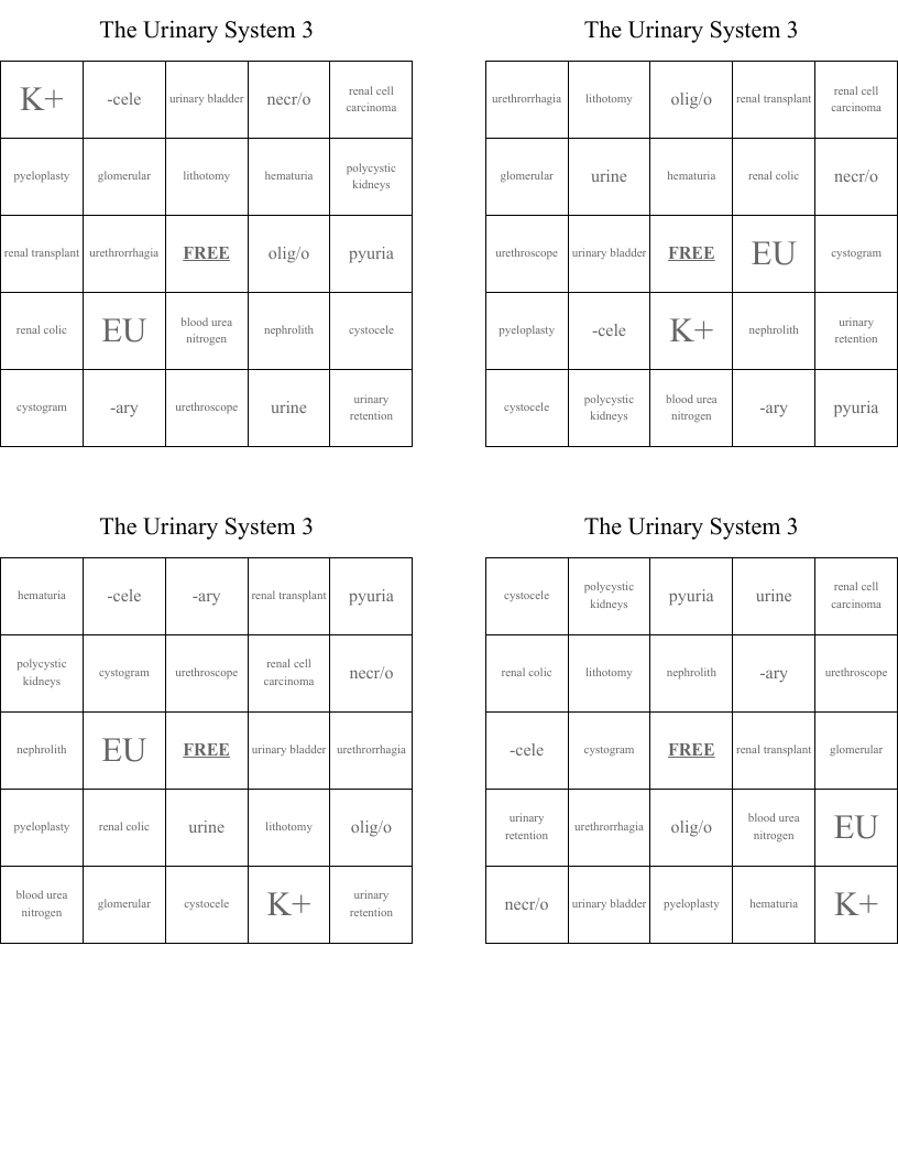 The Urinary System 3 Bingo Cards