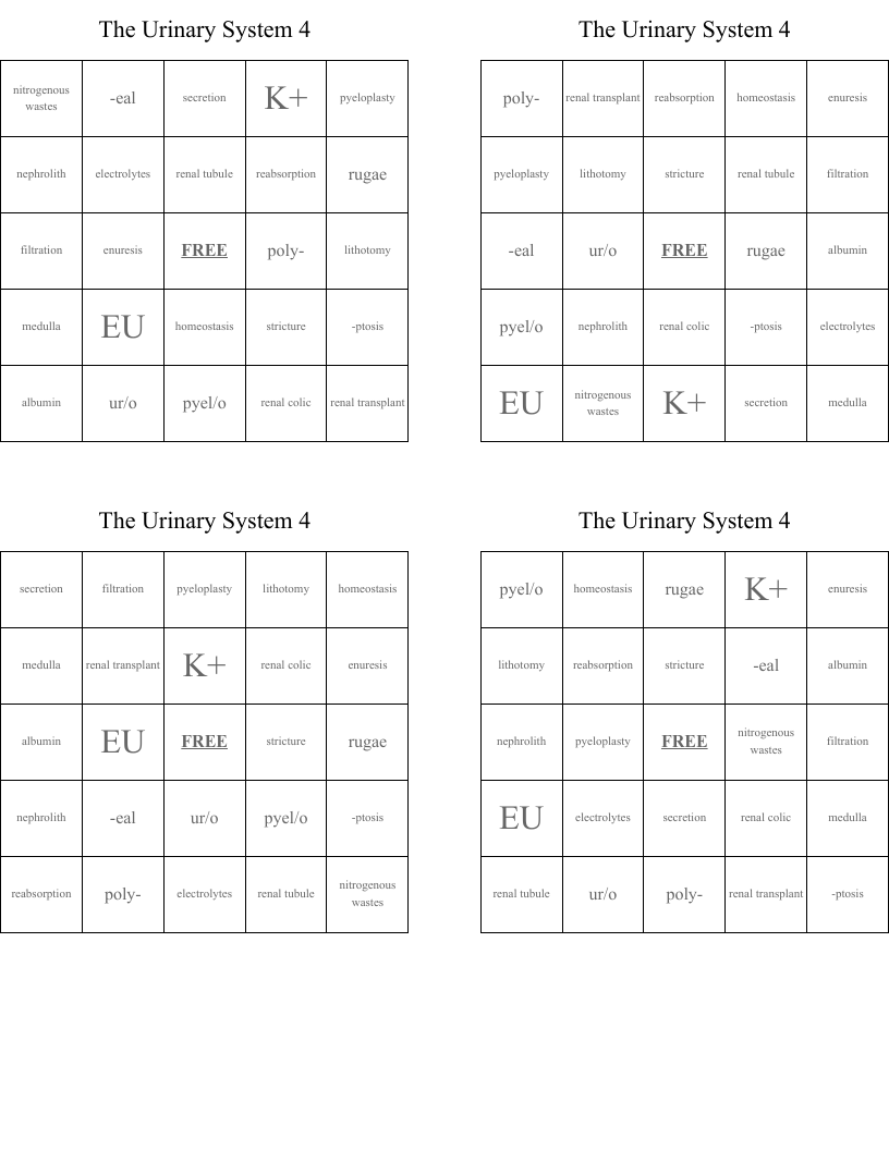 The Urinary System 4 Bingo Cards