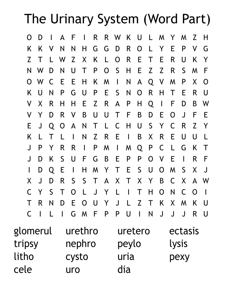 The Urinary System (Word Part) Word Search