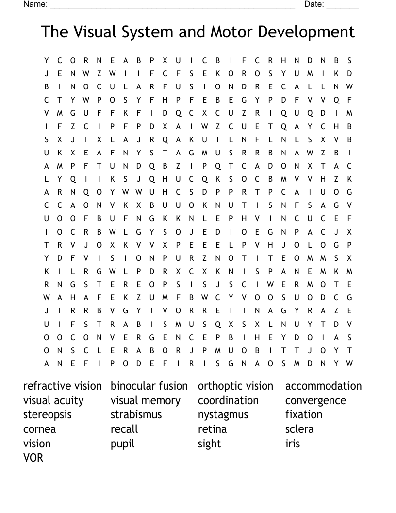 The Visual System and Motor Development Word Search