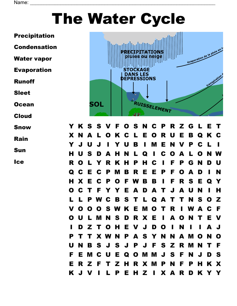 The Water Cycle Word Search