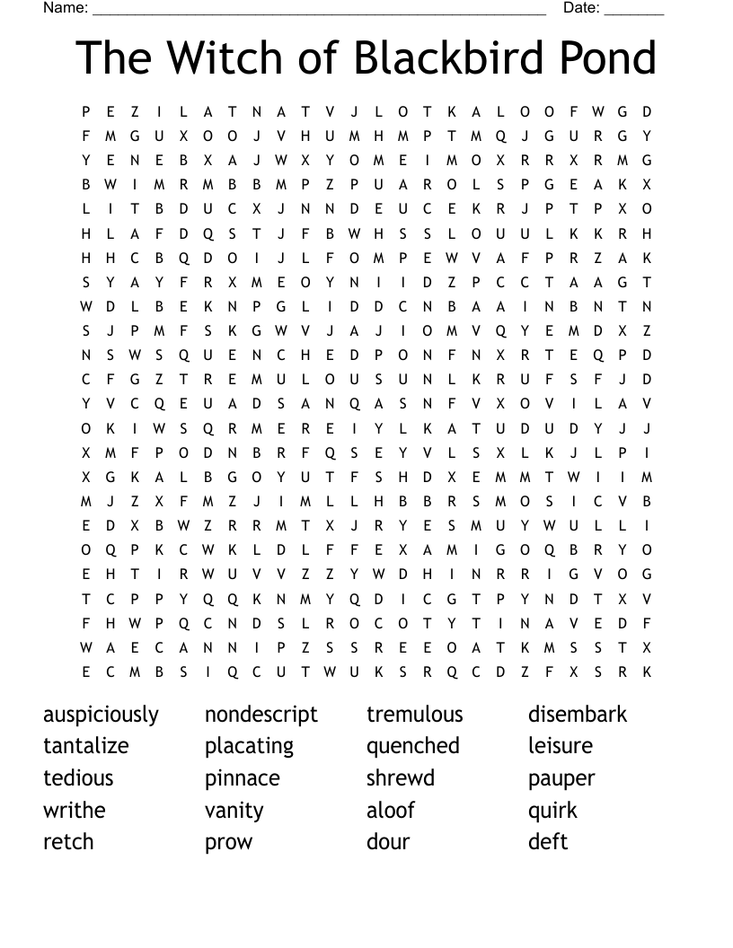 The Witch of Blackbird Pond Word Search