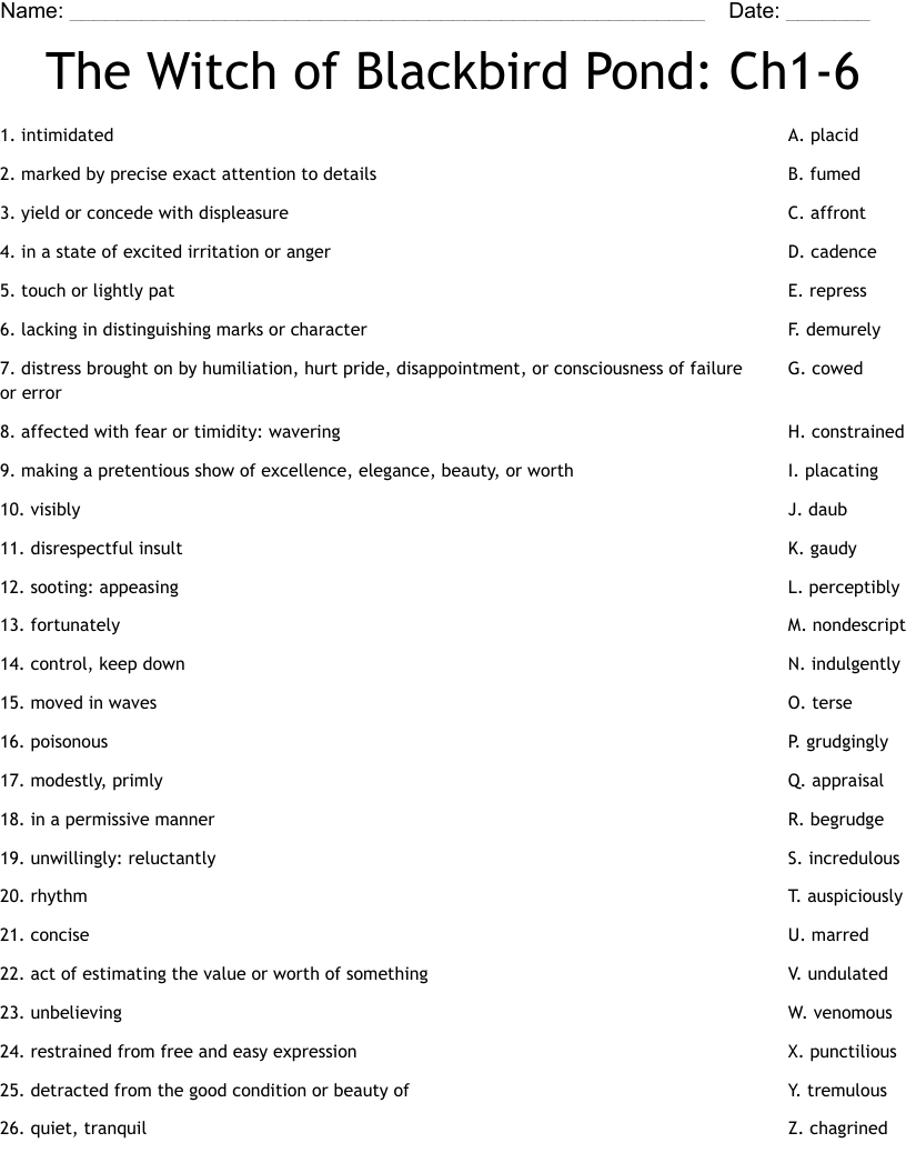 The Witch of Blackbird Pond: Ch1-6 Worksheet