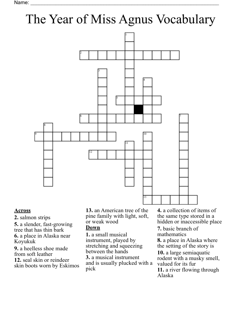 The Year of Miss Agnus Vocabulary Crossword