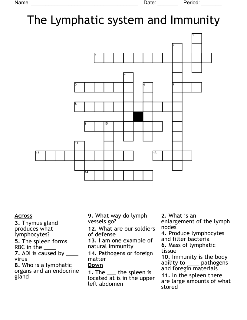 The  Lymphatic system and Immunity Crossword