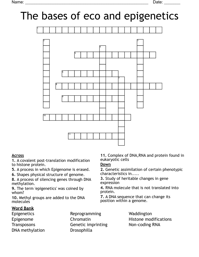 The bases of eco and epigenetics Crossword