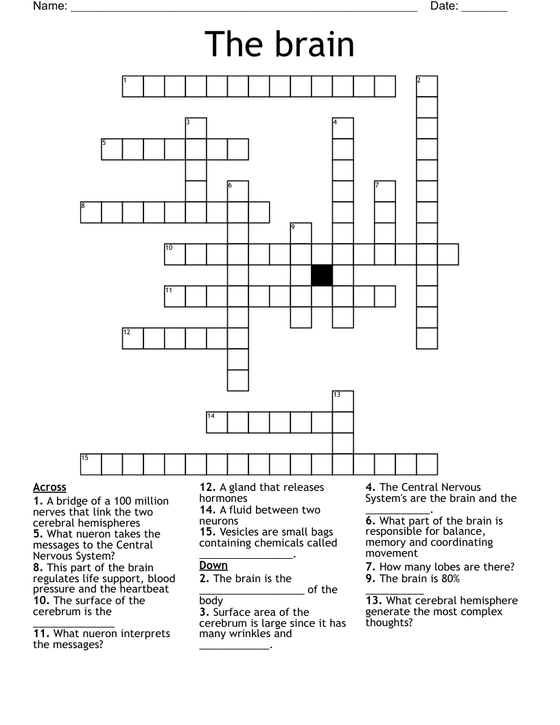 The brain Crossword