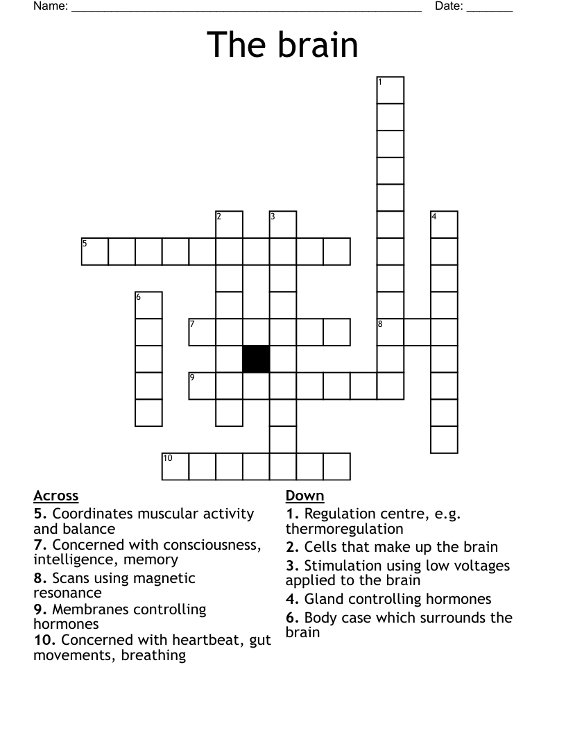 The brain Crossword