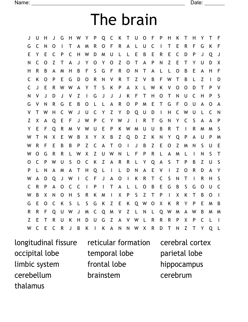 The brain Word Search