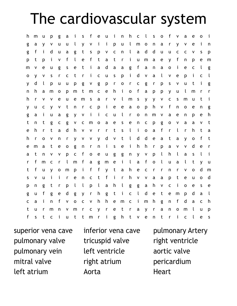 The cardiovascular system  Word Search