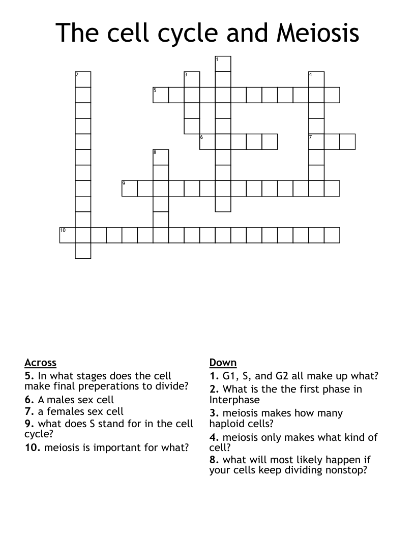 The cell cycle and Meiosis Crossword