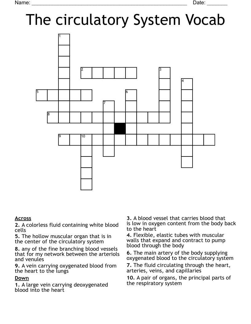 The circulatory System Vocab Crossword