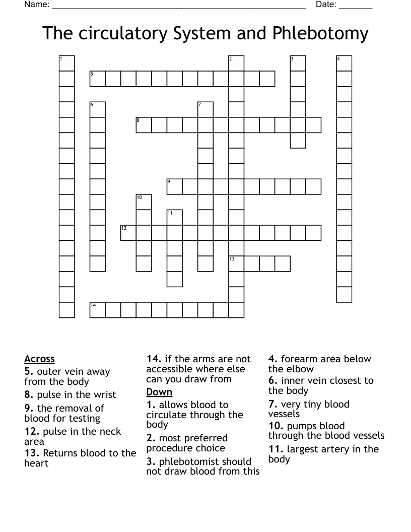 The circulatory System and Phlebotomy Crossword
