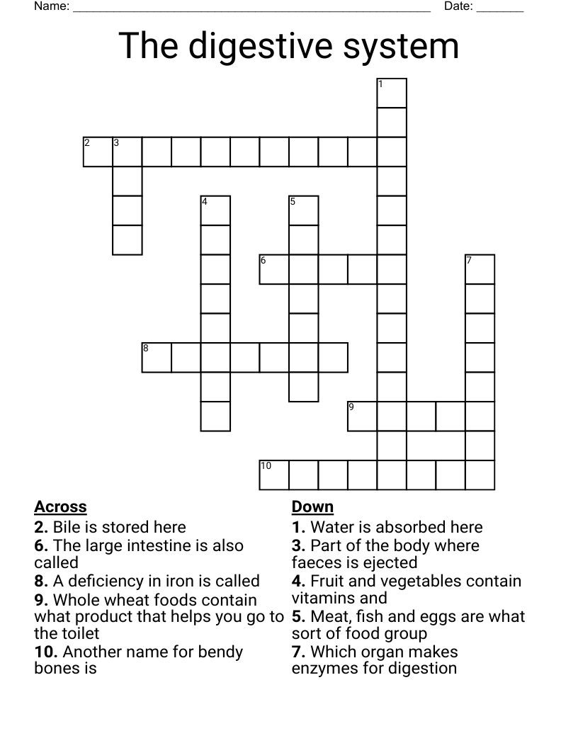 The digestive system Crossword
