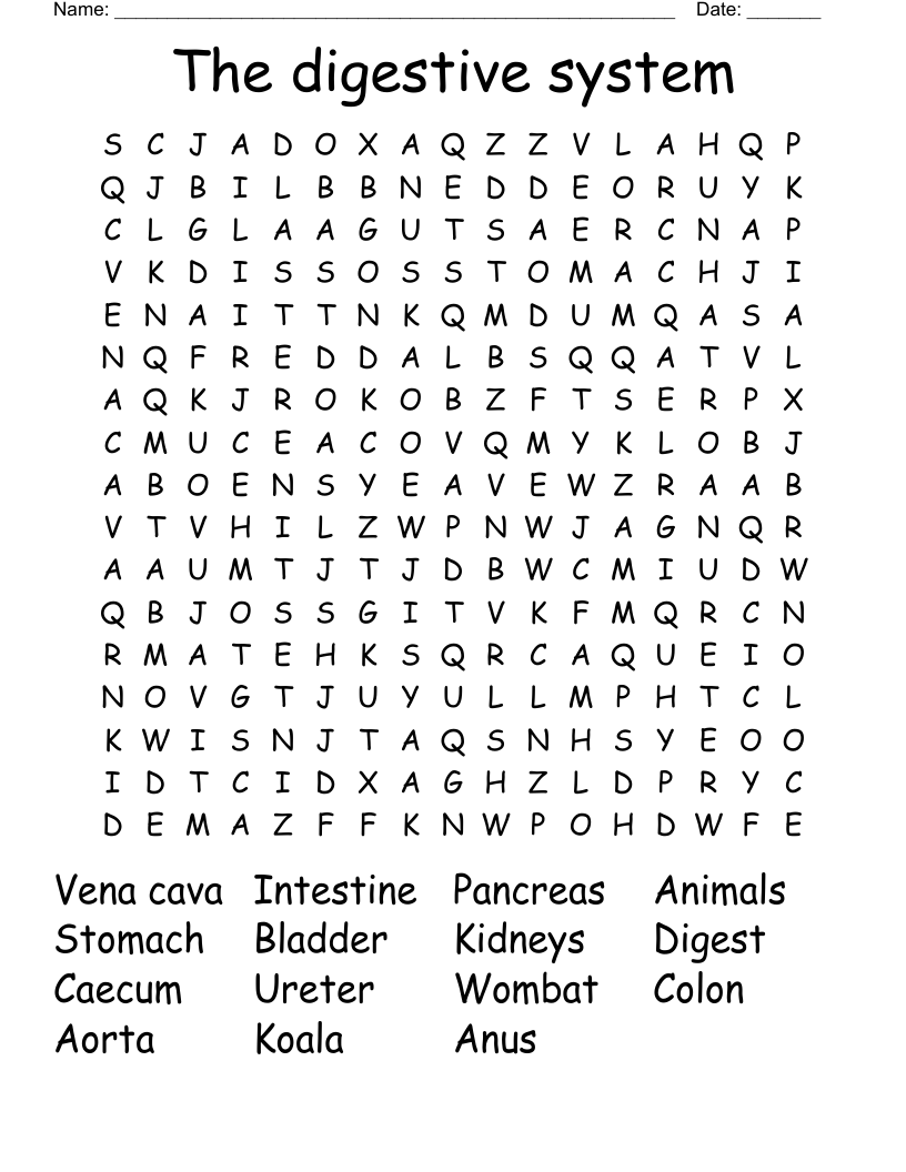 The digestive system  Word Search