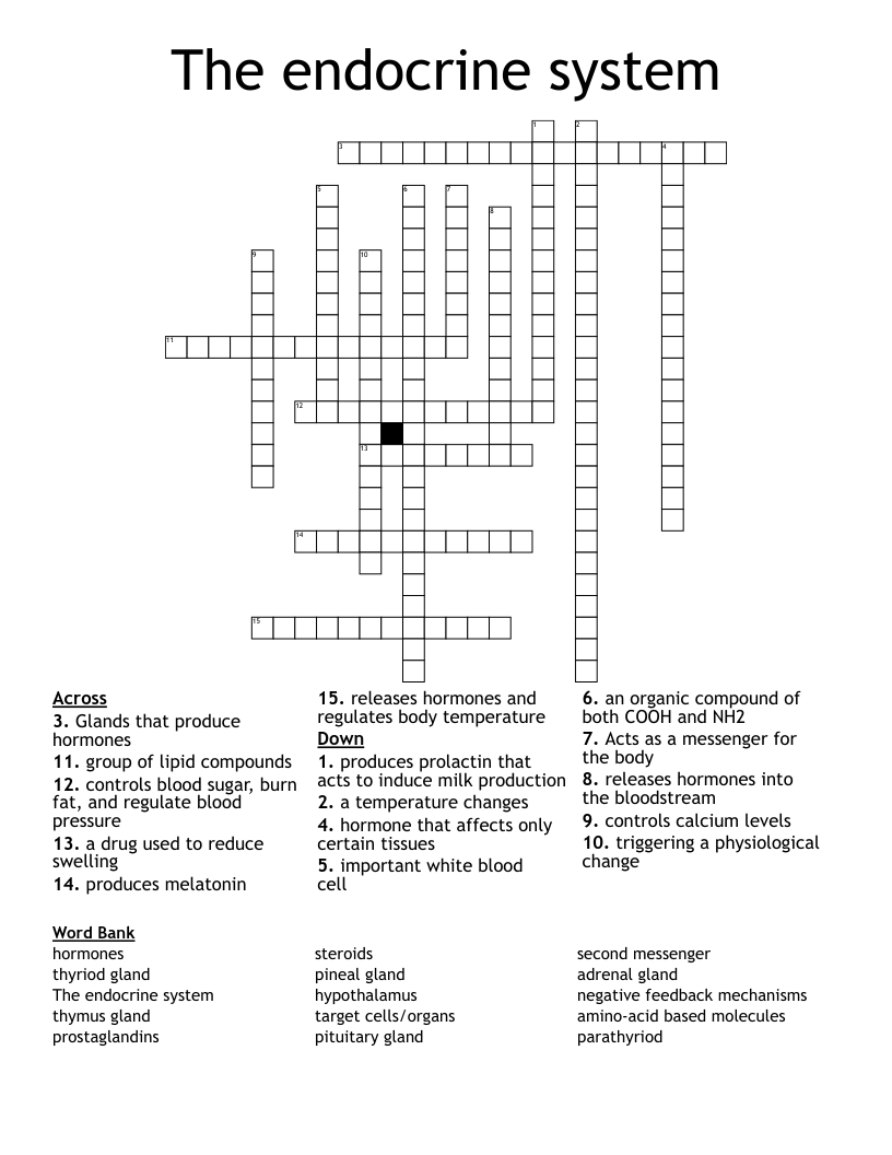 The endocrine system Crossword