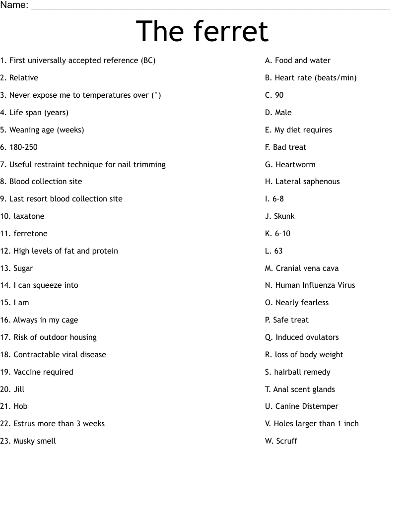 The ferret Worksheet