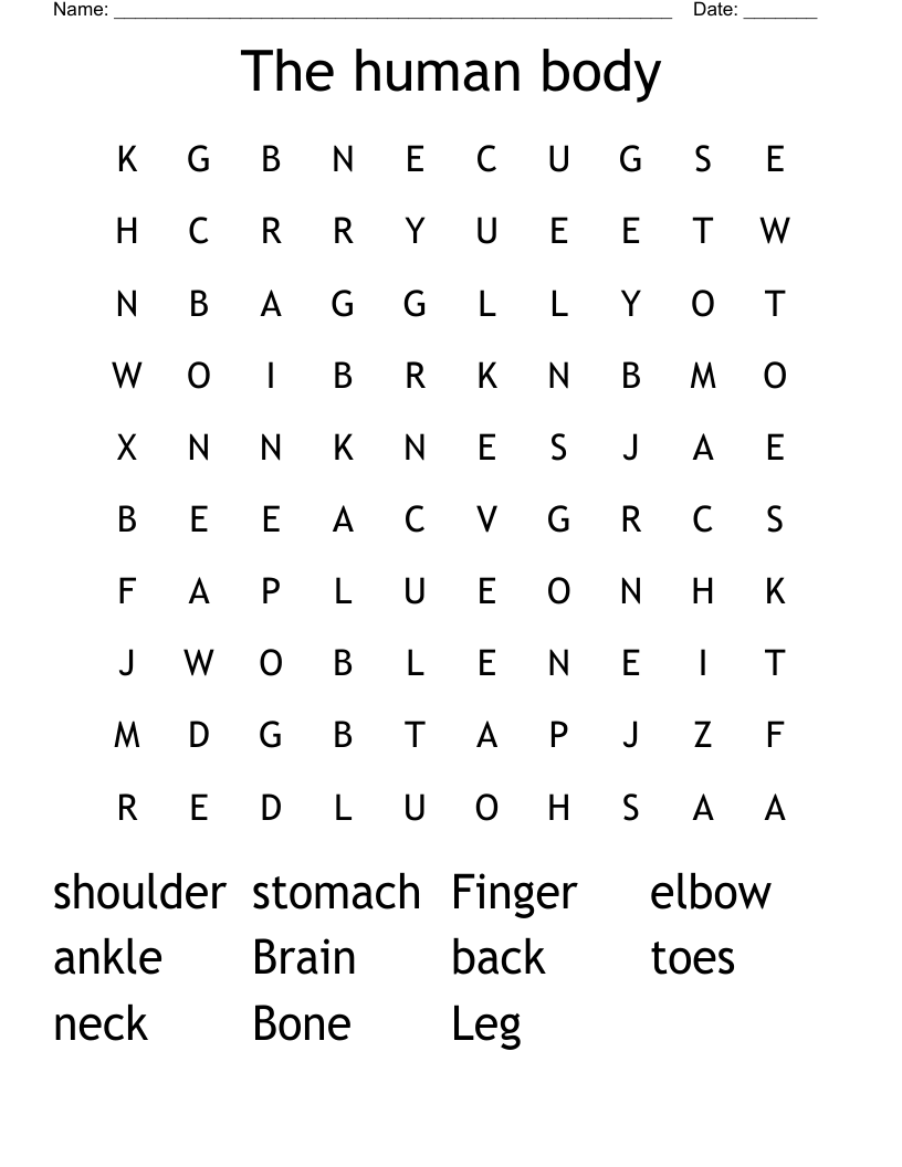 The human body Word Search