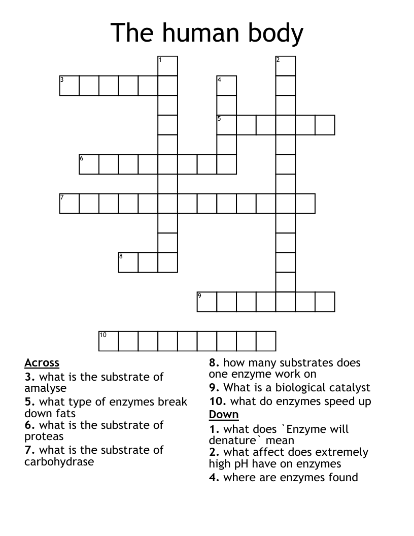 The human body Crossword