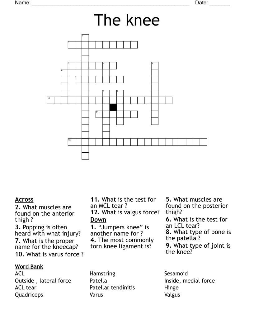 The knee Crossword