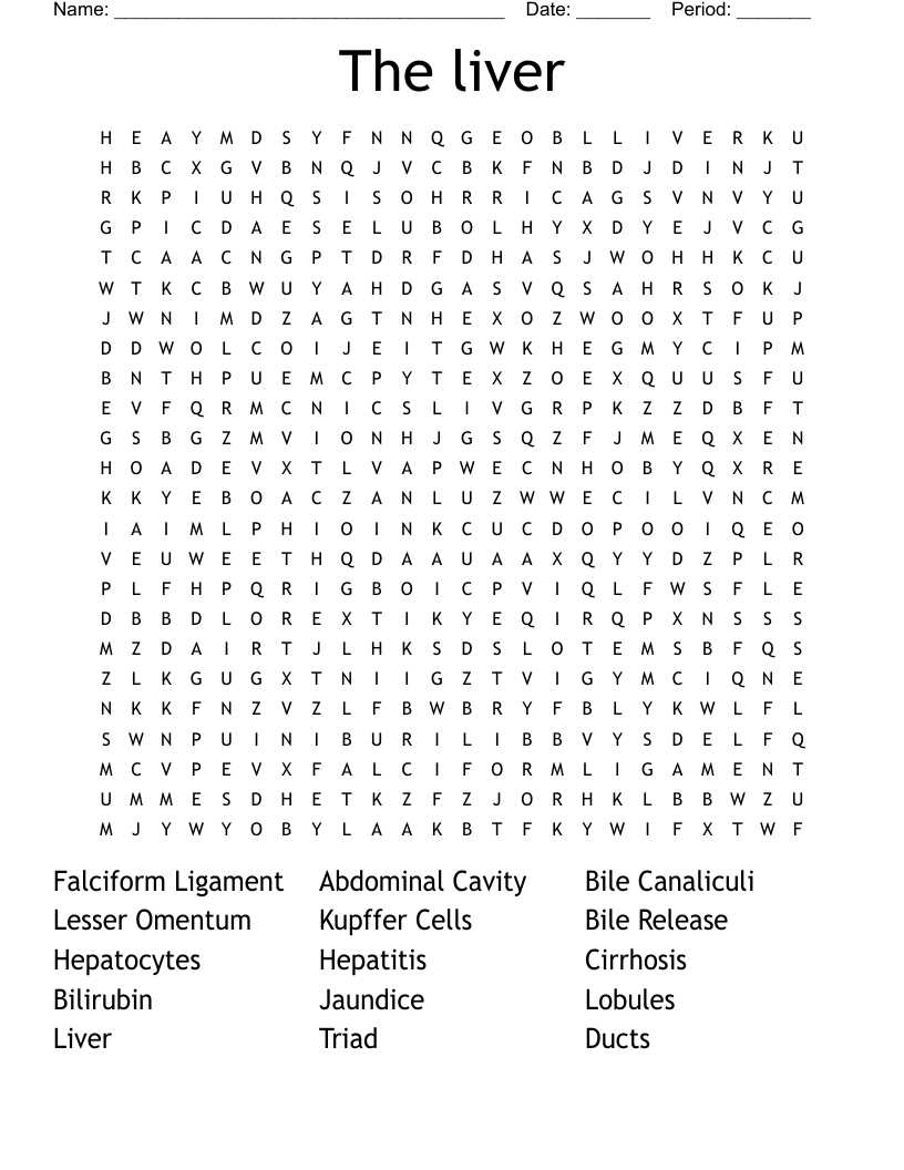 The liver Word Search