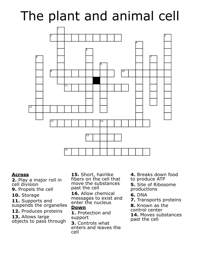 The plant and animal cell Crossword
