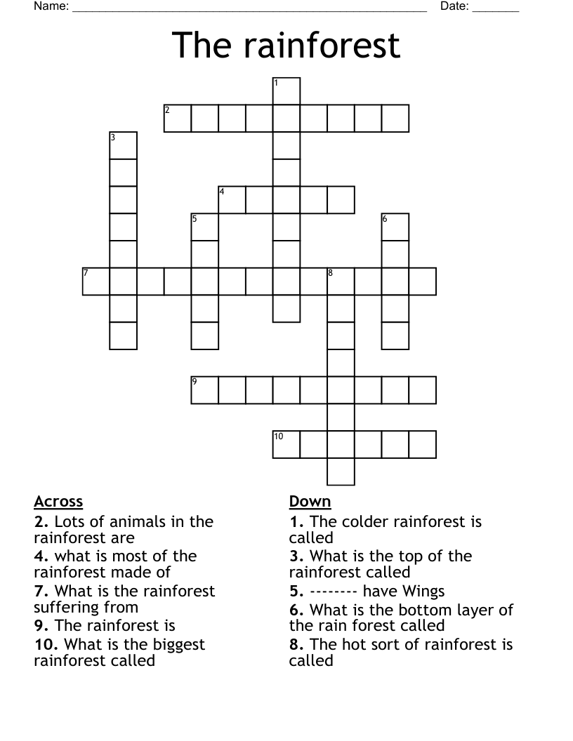 The rainforest Crossword
