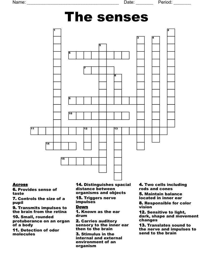 The senses  Crossword