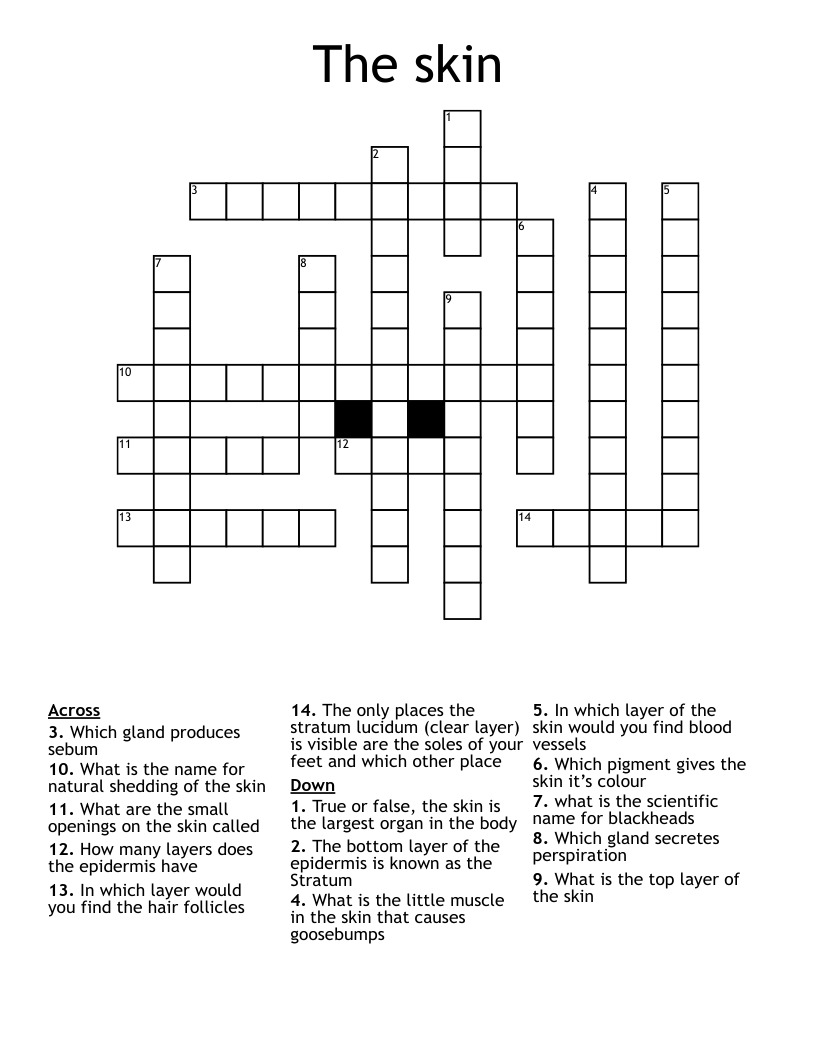 The skin  Crossword