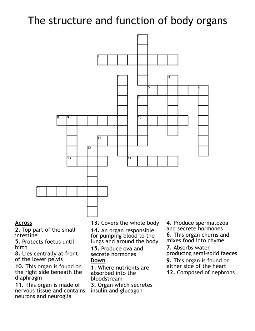 The structure and function of body organs  Crossword