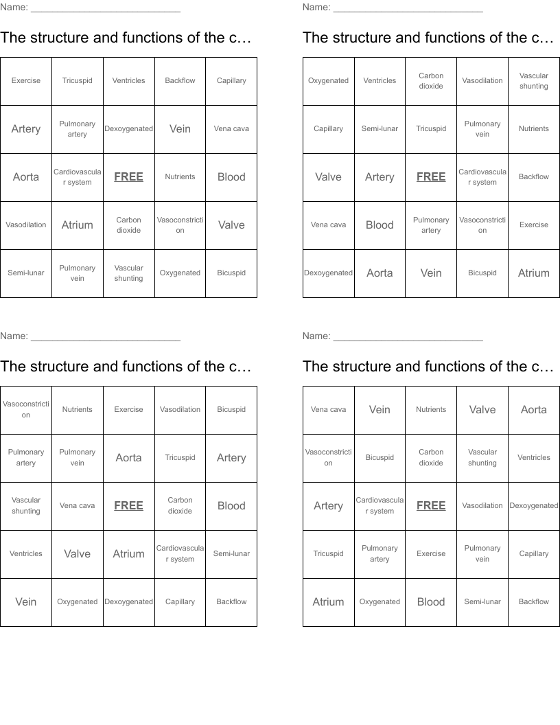 The structure and functions of the cardiovascular system Bingo Cards