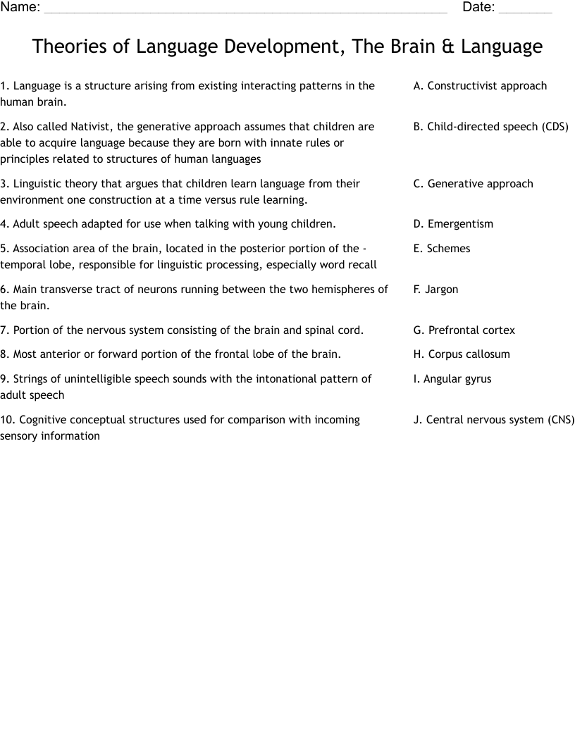 Theories of Language Development, The Brain & Language  Worksheet