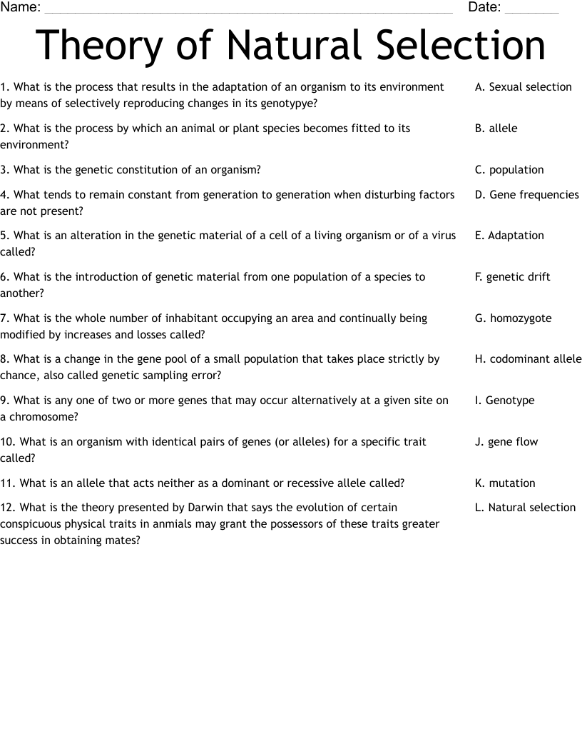 Theory of Natural Selection  Worksheet