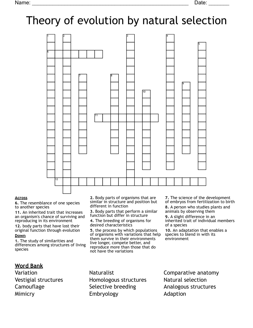 Theory of evolution by natural selection Crossword