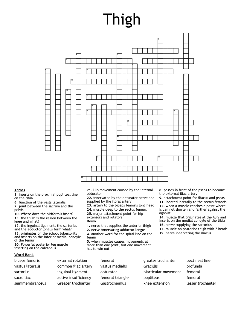 Thigh  Crossword