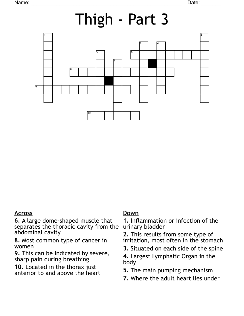 Thigh - Part 3 Crossword
