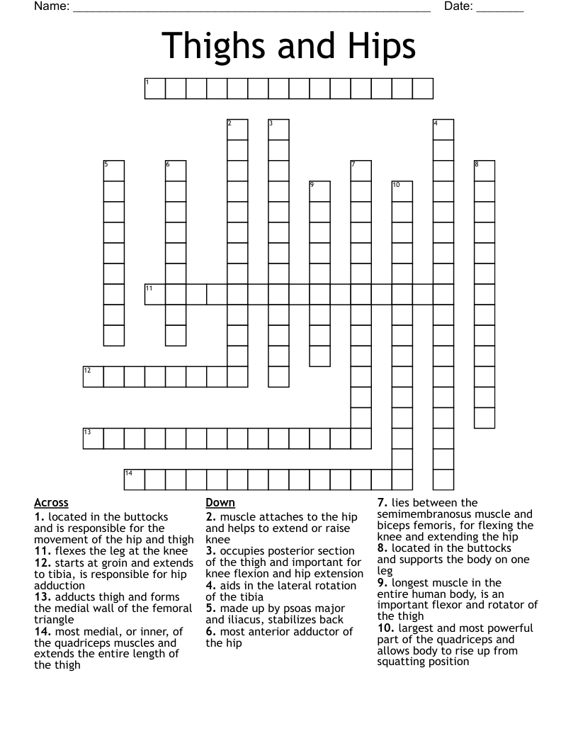 Thighs and Hips Crossword