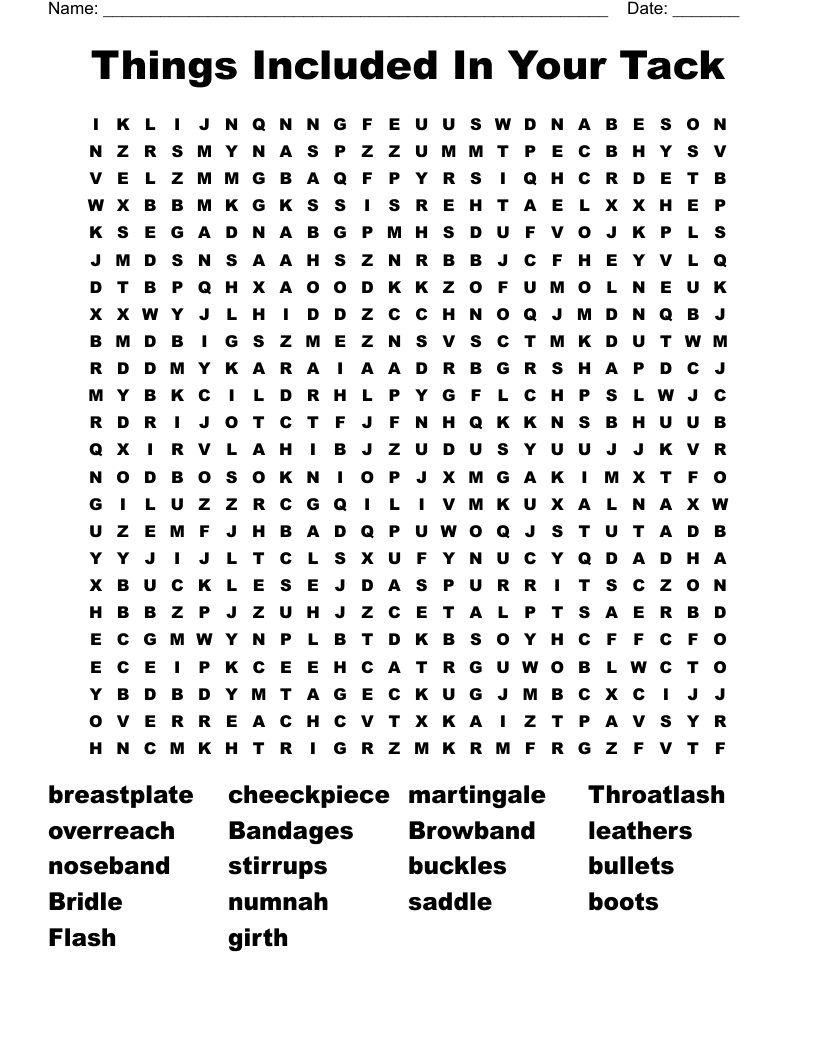 Things Included In Your Tack  Word Search