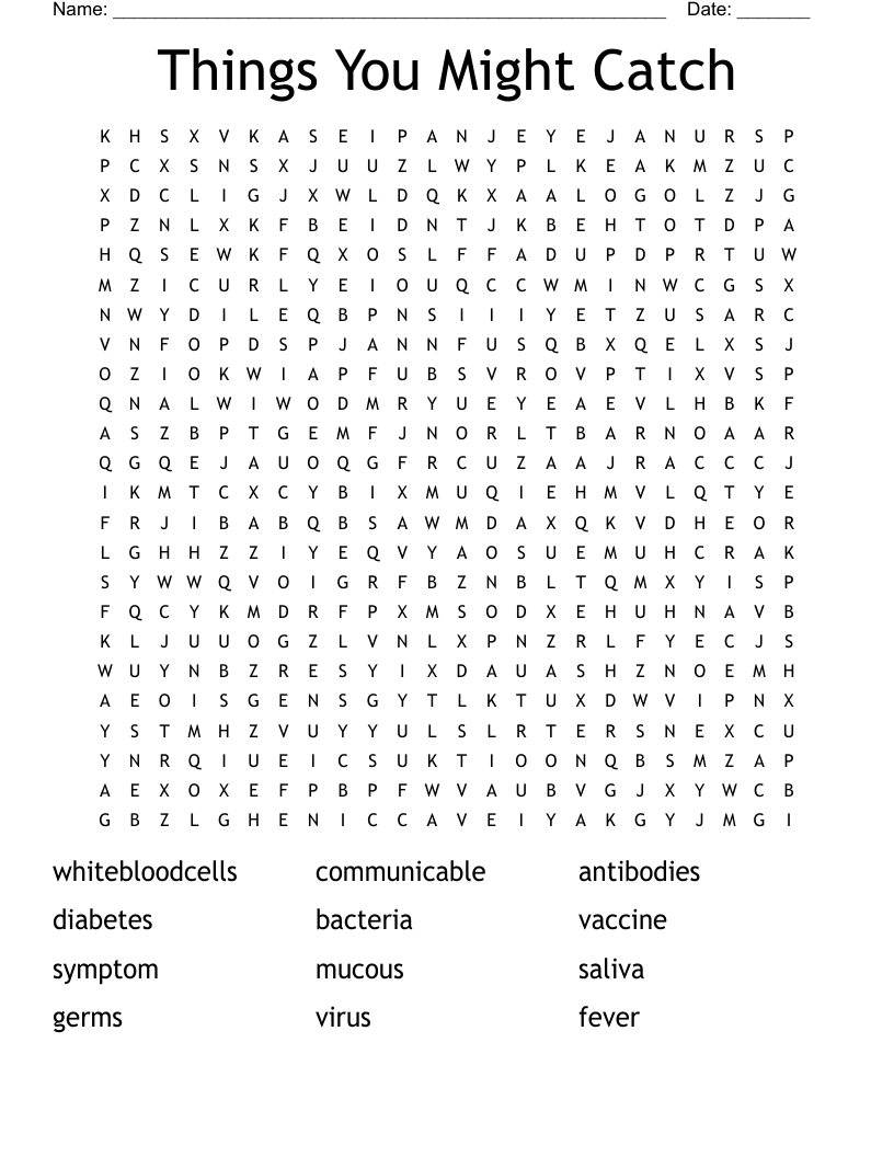 Things You Might Catch Word Search