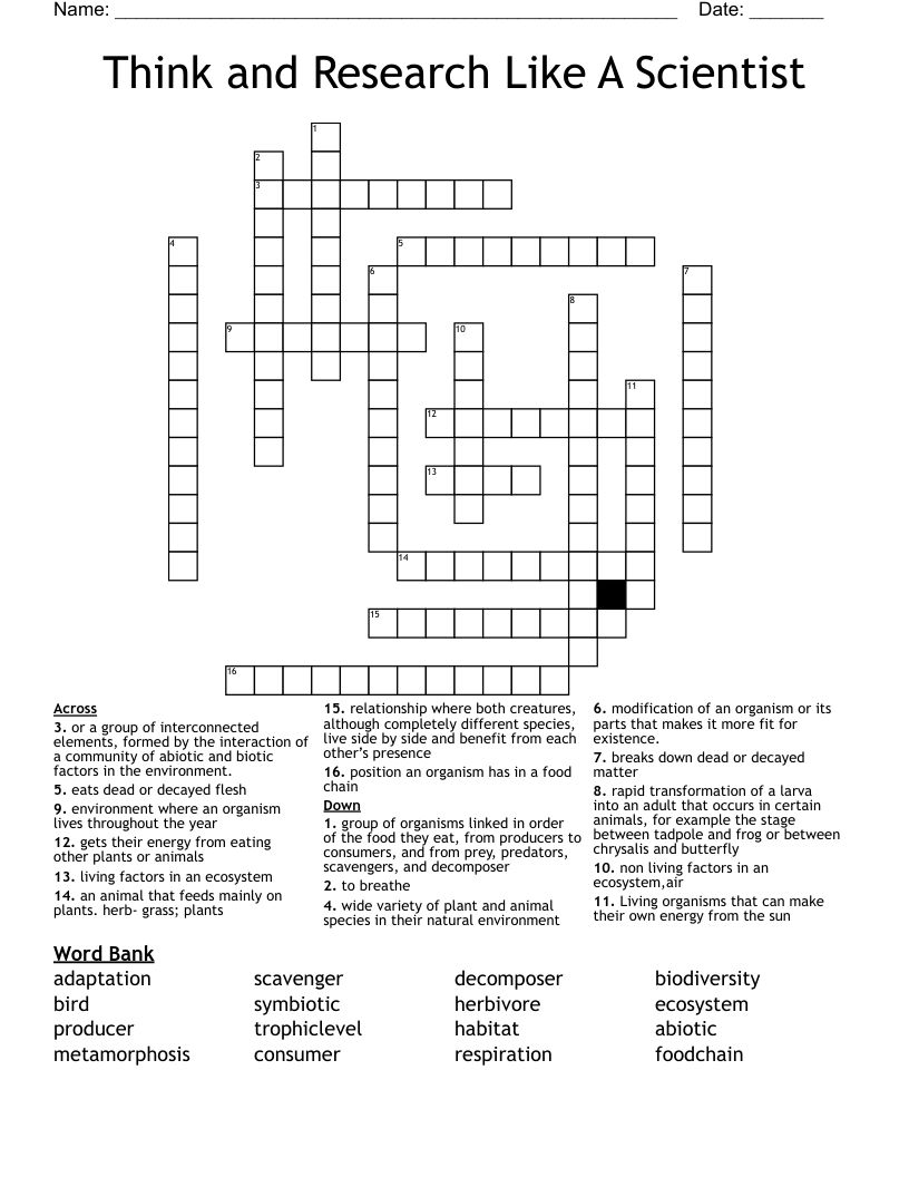 Think and Research Like A Scientist  Crossword