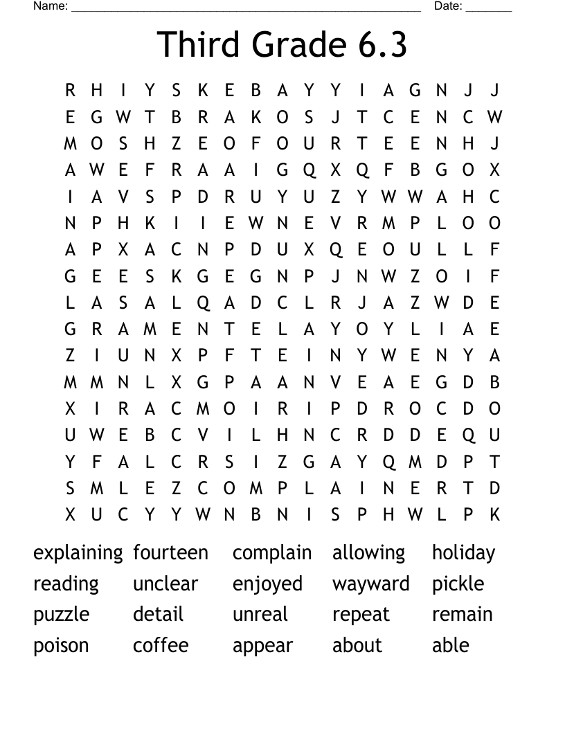 Third Grade 6.3 Word Search