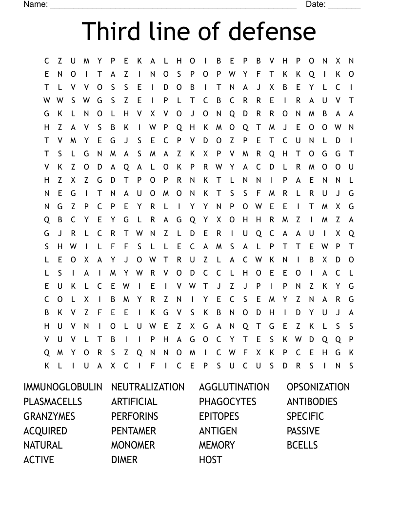 Third line of defense Word Search