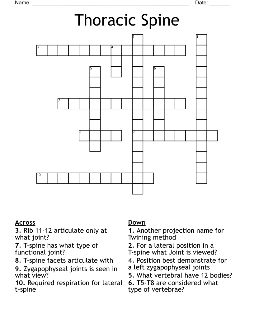 Thoracic Spine Crossword