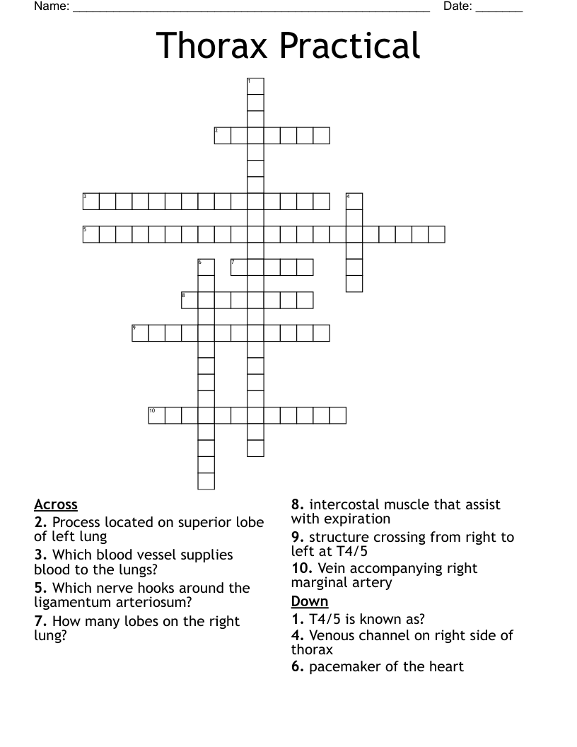 Thorax Practical Crossword
